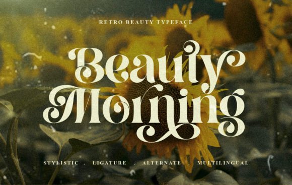 Beauty Morning: The Perfect Display Font for Modern Brand Identity
