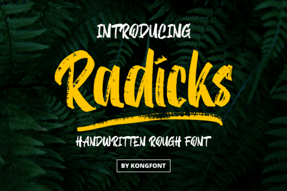 Radicks: The Romantic Font That Elevated My Small Business Brand
